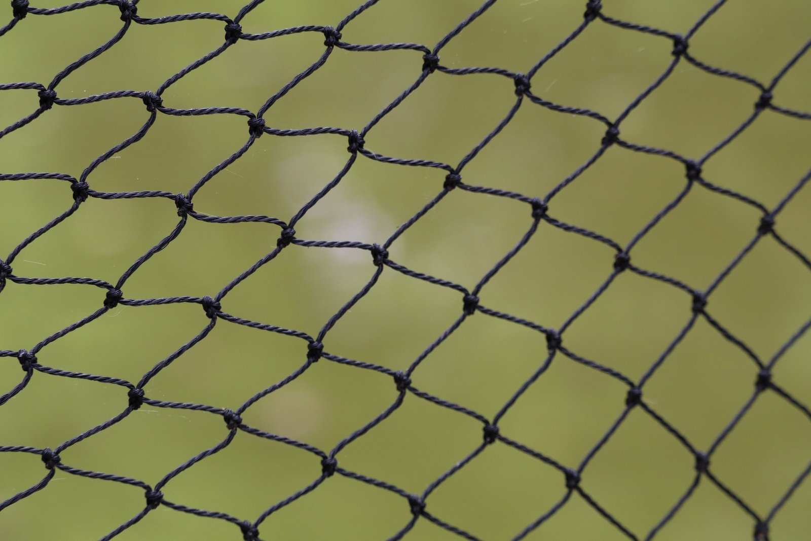Bird Control and Netting